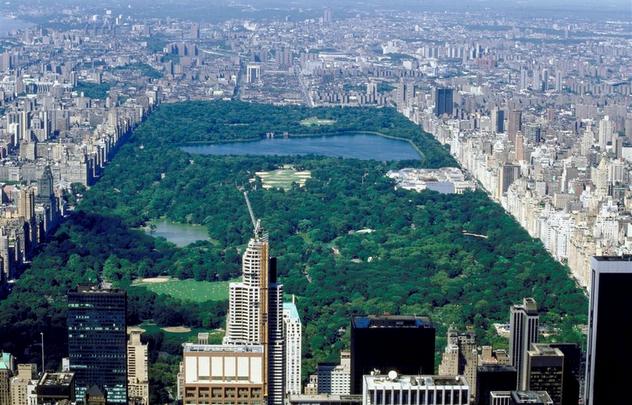 Central Park, Manhattan 