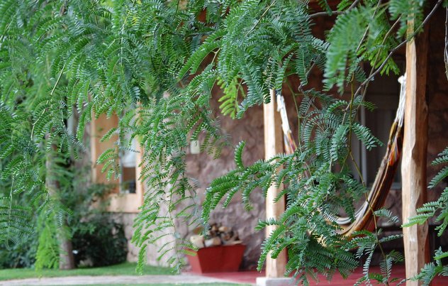 Los jardines de Finca Adalgisa generan tranquilidad y ayudan a liberar el stress.
