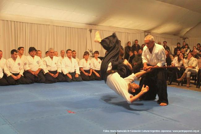 Las demostraciones incluyen aikido, karatedo y kobudo, entre otras disciplinas.