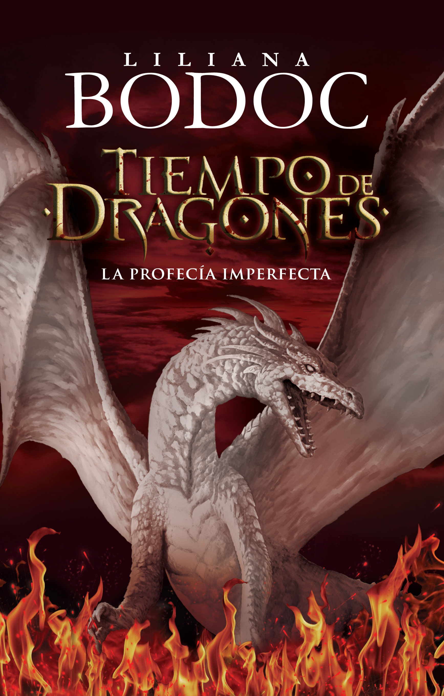 The cover of Tiempo de dragones: la profecía imperfecta, by Liliana Bodoc.