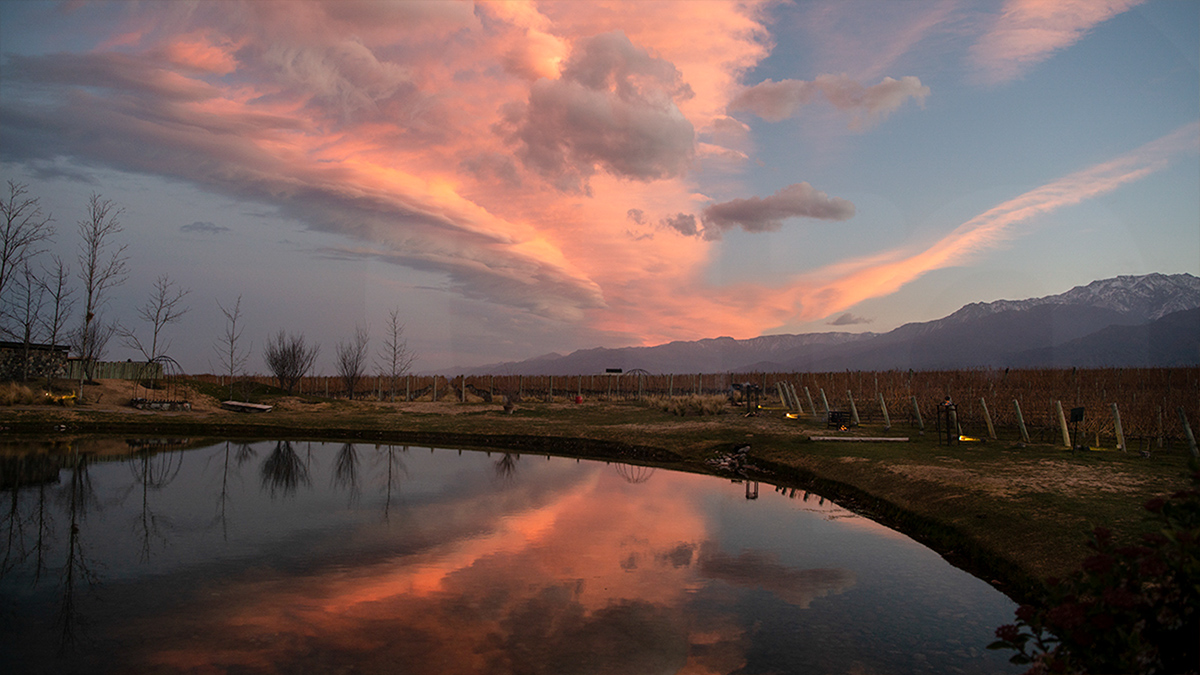 Eclipse Inmendoza The Vines sunset