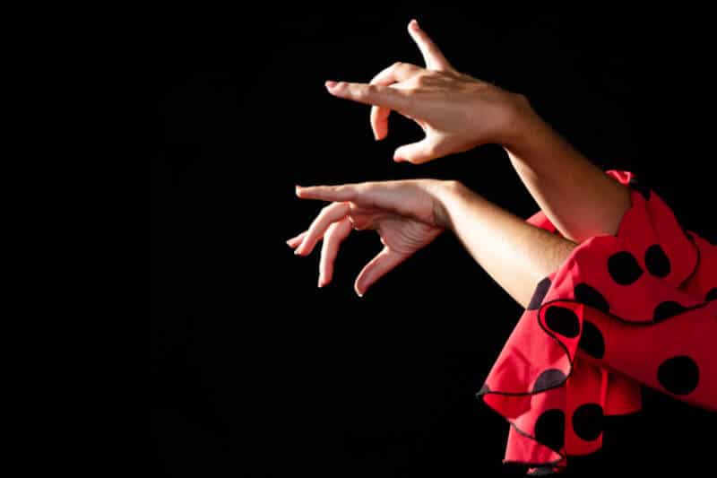 flamenco