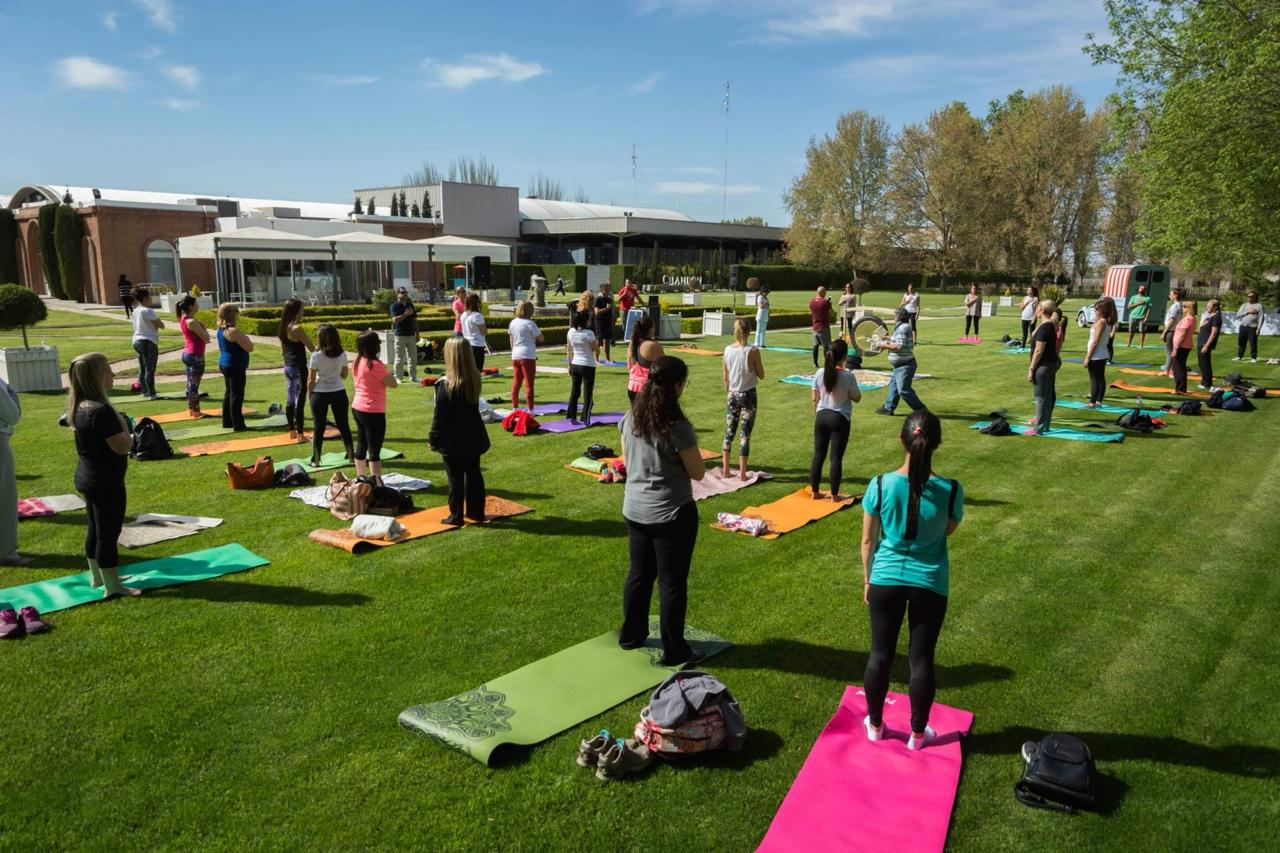 Yoga por los caminos del vino