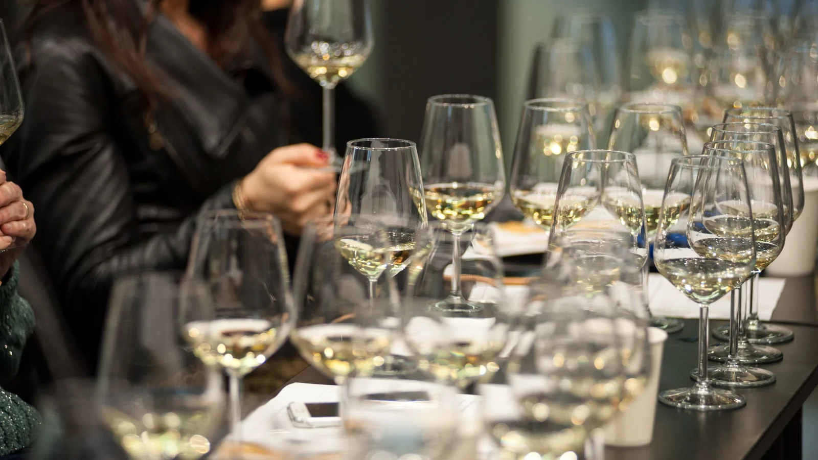 Cata-profesional-de-vinos