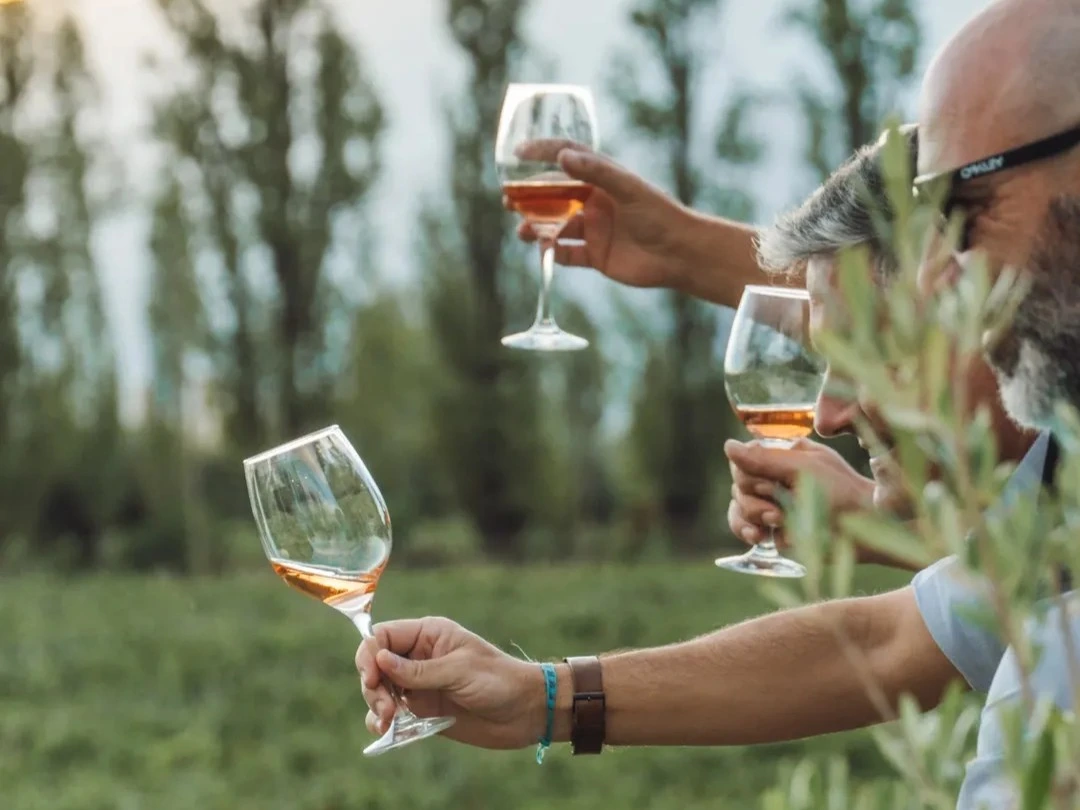 Bodega abierta