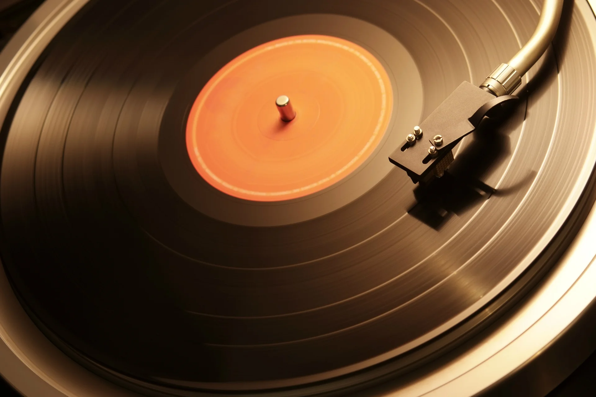 agenda- vinilo