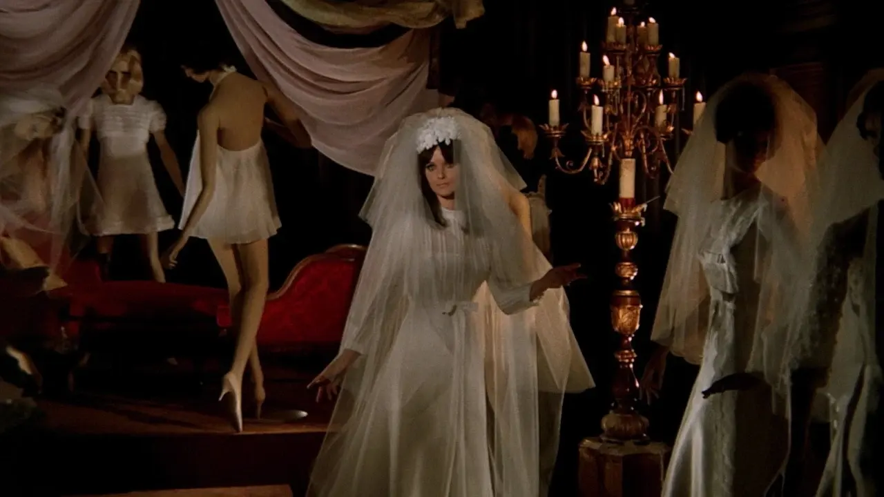 ciclo cine stocco_11zon