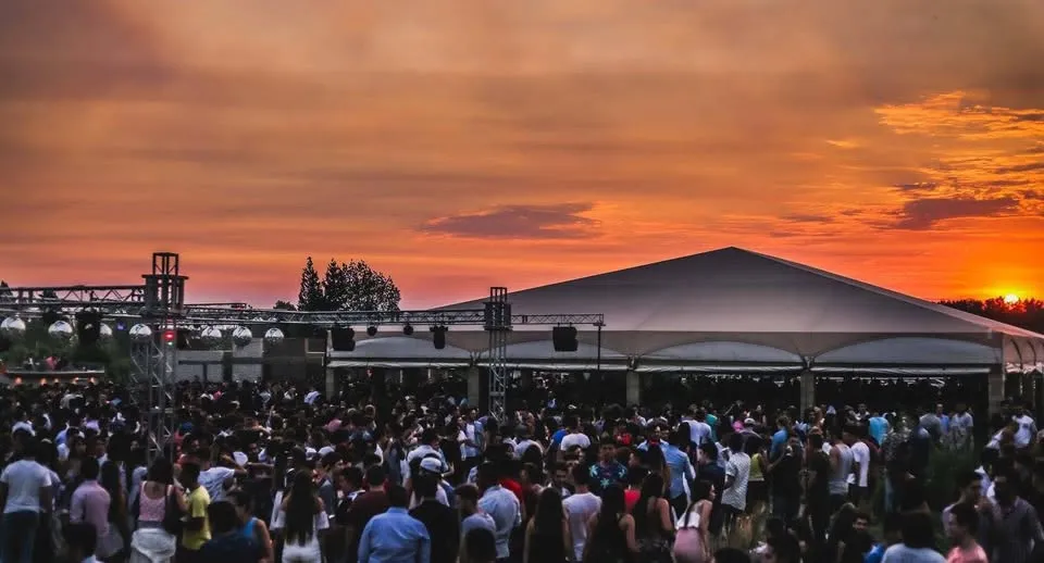 absolut x label_11zon