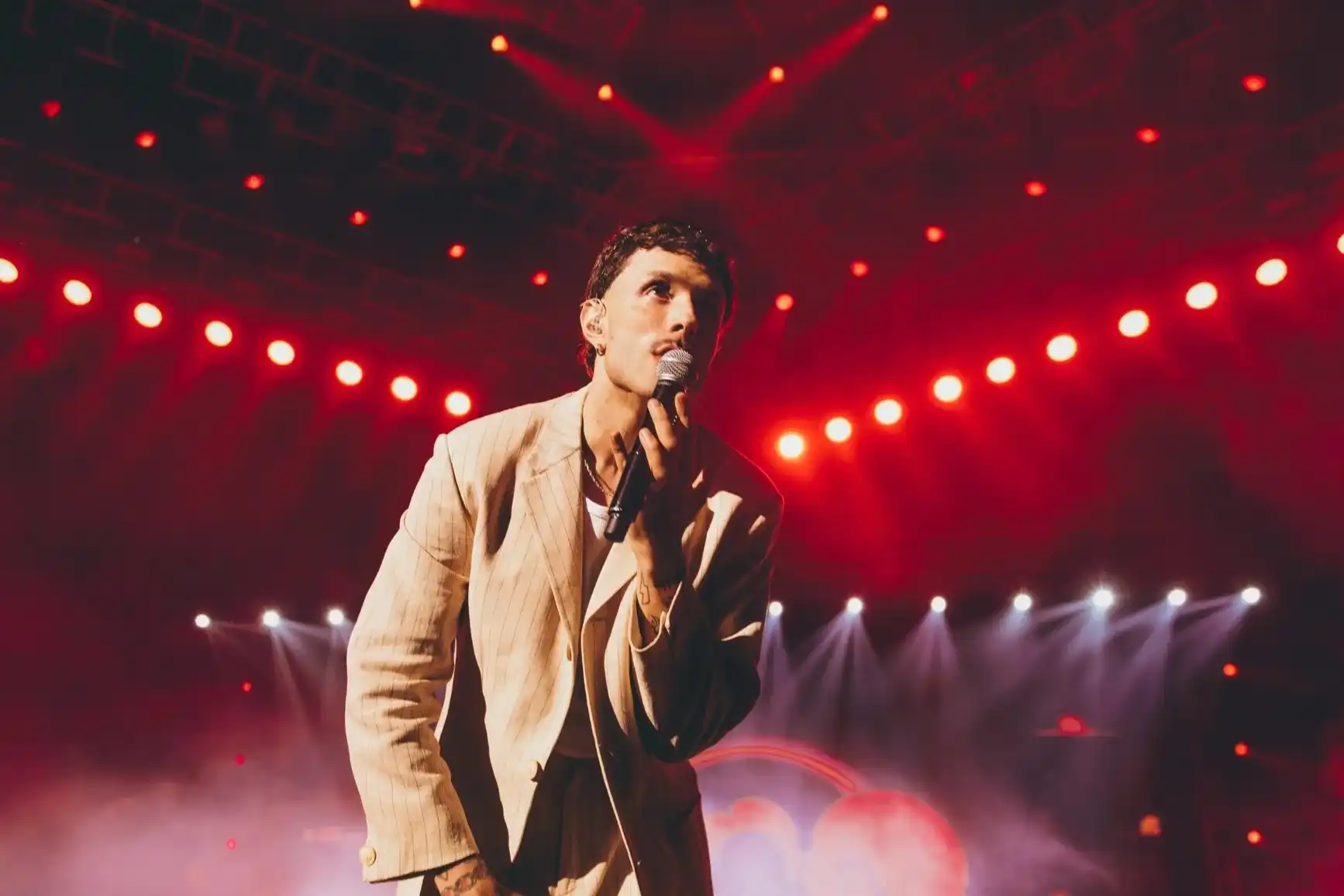 cardelino_11zon_11zon