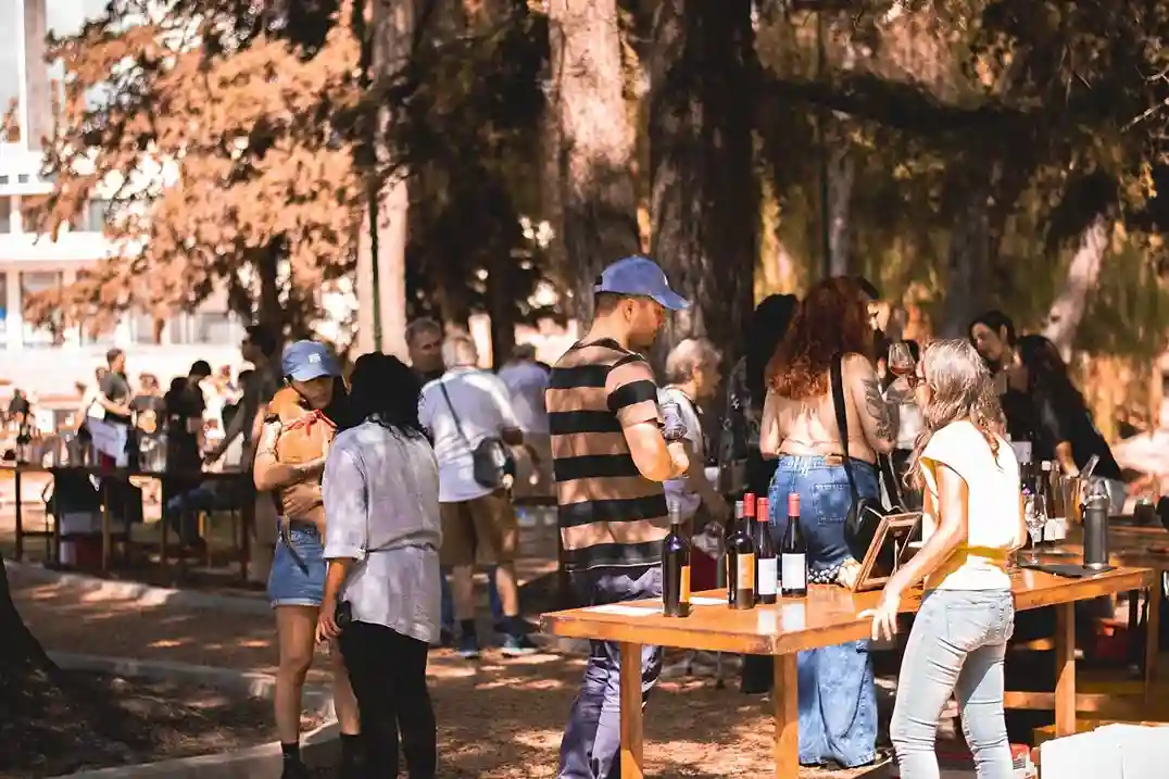 vivo vino
