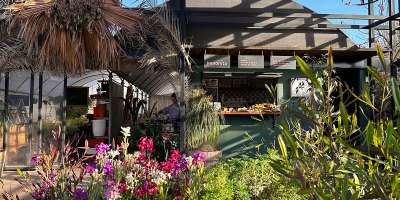 Café Mononito en Lunta Vivero1