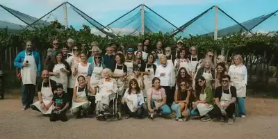 Cosecha de artistas 2025