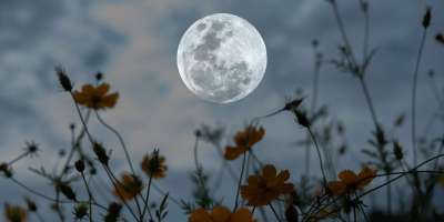 PORTADA LUNA LLLENA