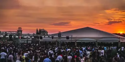 absolut x label_11zon