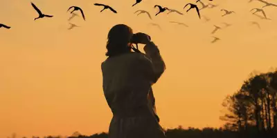 avistamiento-aves-enoturismo_98