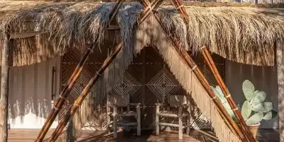 bali andino