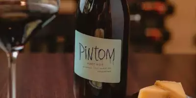 canopus vinos