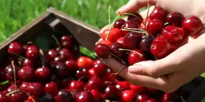 cerezasfrescas