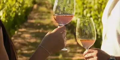 don miguel villafañe