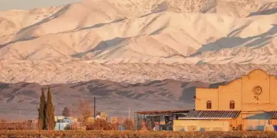 viña las perdices