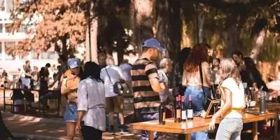 vivo vino